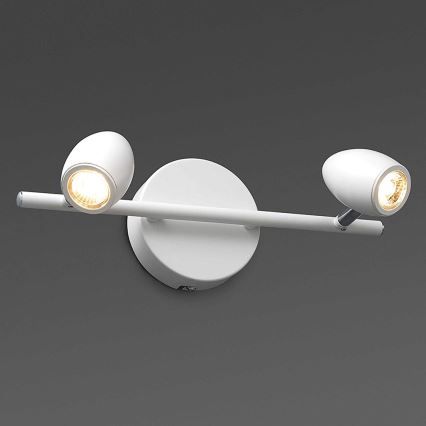 FARO 41121 - LED-kohdevalaisin ANTILA 2xLED/12W/230V