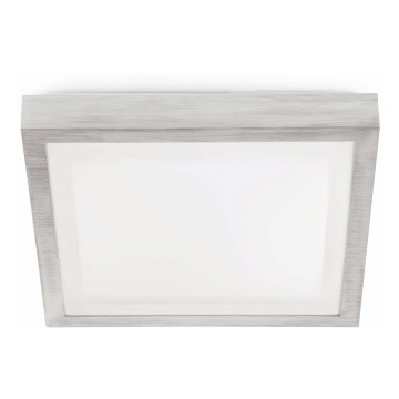 FARO 62983 - Kylpyhuoneen kattovalo TOLA 1 1xE27/20W/230V IP44
