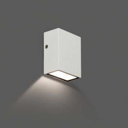FARO 70567N - LED-ulkoseinävalaisin CANON LED/4W/230V IP44