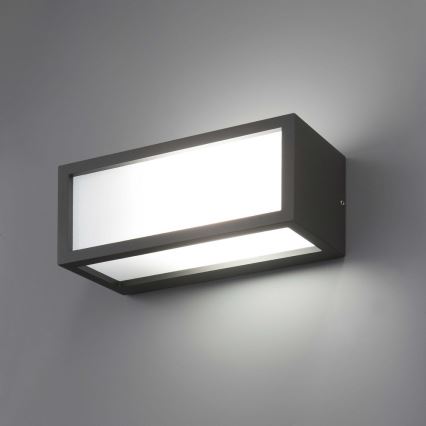 FARO 70573 - Ulkoseinävalaisin TEJO 1xE27/20W/230V IP54