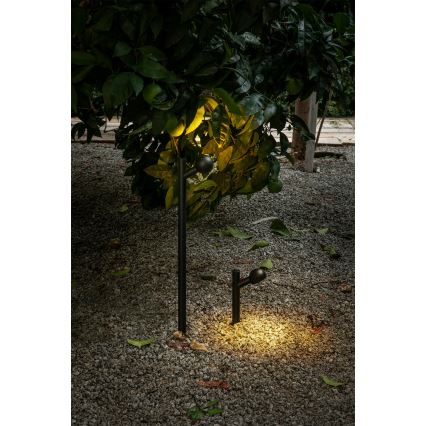 FARO 75570 - LED-ulkolamppu BROT LED/7W/230V 20 cm IP65