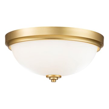 Feiss - Kylpyhuoneen kattovalaisin MALIBU 2xE27/60W/230V IP44