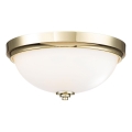Feiss - Kylpyhuoneen kattovalaisin MALIBU 2xE27/60W/230V IP44 kultainen