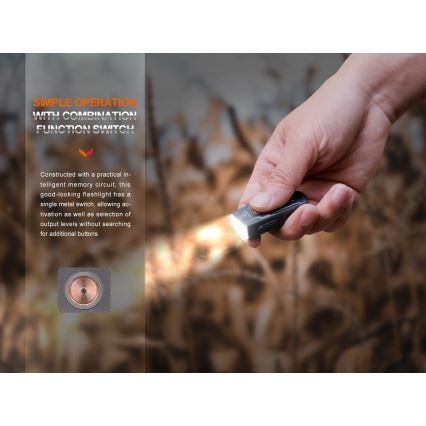 Fenix E03RV20GREY - Ladattava LED-taskulamppu LED/USB IP66 500 kiiltävä 30 h 400 mAh