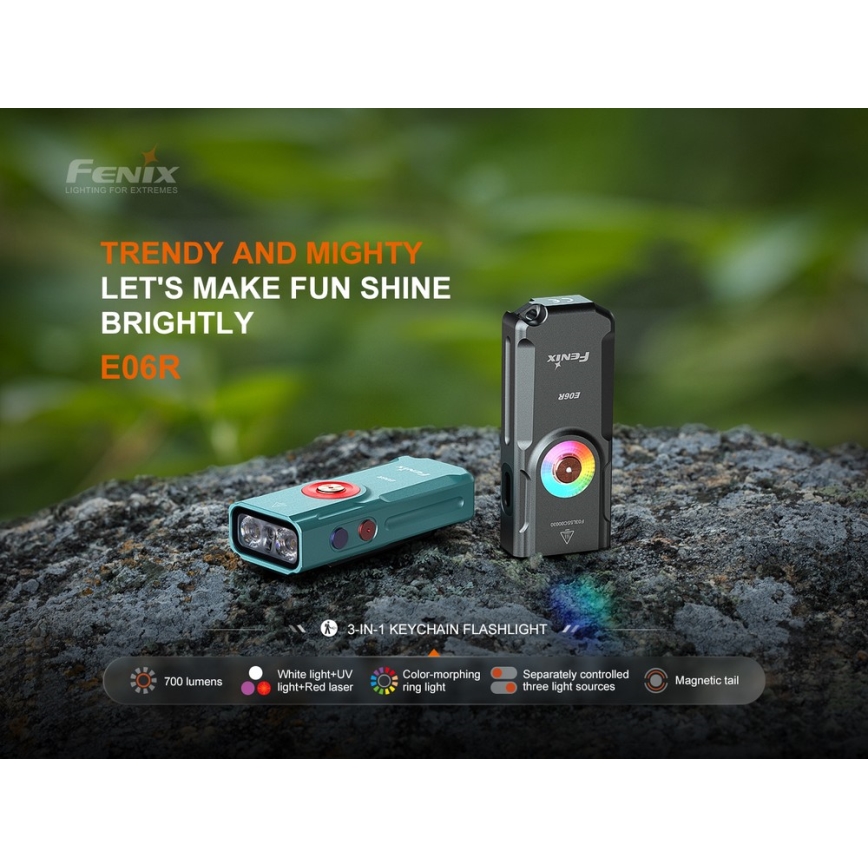 Fenix E06RGRY - LED Himmennettävä ladattava taskulamppu UV LED/USB IP66 700 kiiltävä 60 h harmaa