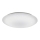 Fulgur 24114 - LED-kattovalaisin ANETA STAR LED / 16W / 230V 4000K