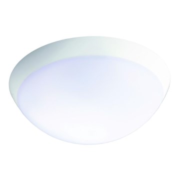 Fulgur 26233 - LED Kestävä hätävalo tunnistimella ROMANA LED/20W/230V IP64
