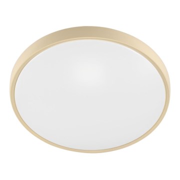 Fulgur 27480 - Runko diffuusorilla kattovalaisimille VERA 420 GOLD