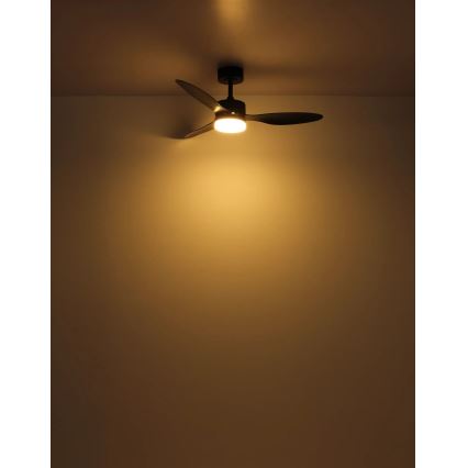 Globo - LED himmennettävä kattovalo LED/20W/230V 2700-6500K + kauko-ohjaus