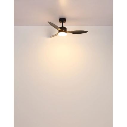 Globo - LED himmennettävä kattovalo LED/20W/230V 2700-6500K + kauko-ohjaus