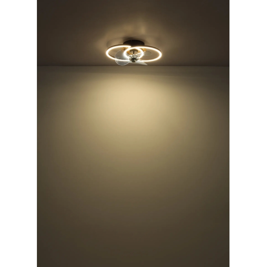 Globo - LED himmennettävä kattovalo LED/24W/230V 2700-6500K + kauko-ohjaus