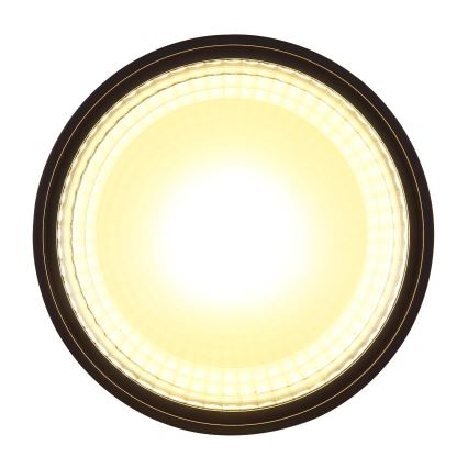 Globo - LED-kattovalaisin LED/12W/230V 3000K