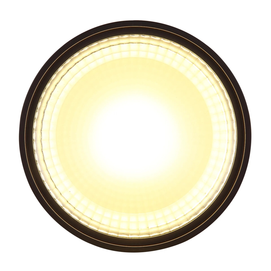 Globo - LED-kattovalaisin LED/12W/230V 3000K