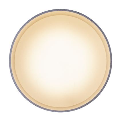 Globo - LED-kattovalaisin LED/8W/230V + LED/4W/230V