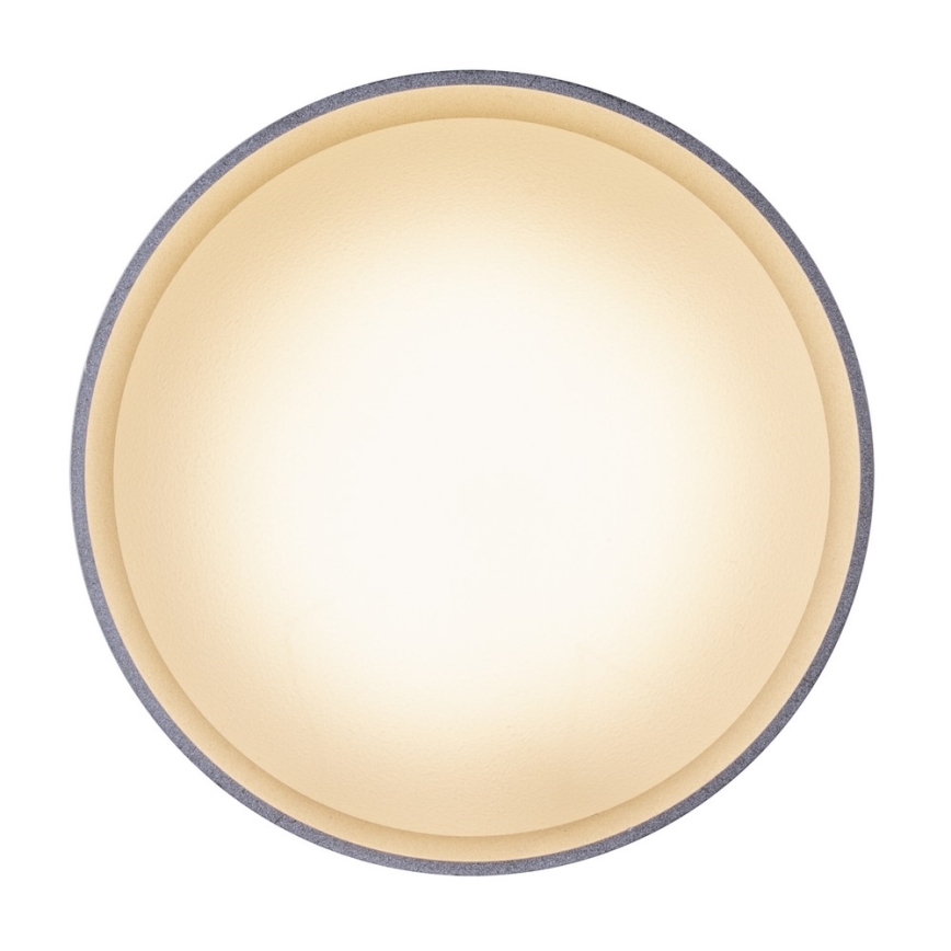 Globo - LED-kattovalaisin LED/8W/230V + LED/4W/230V