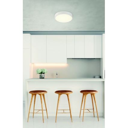 Globo - LED Himmennettävä kattovalo LED/22W/230V