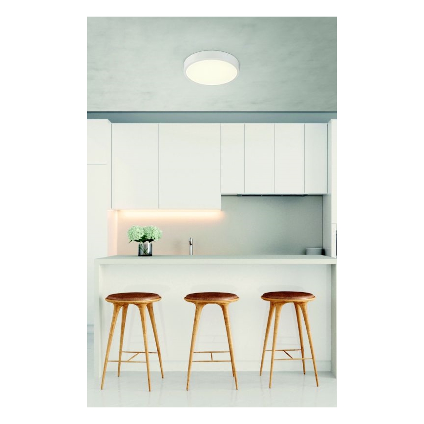 Globo - LED Himmennettävä kattovalo LED/22W/230V
