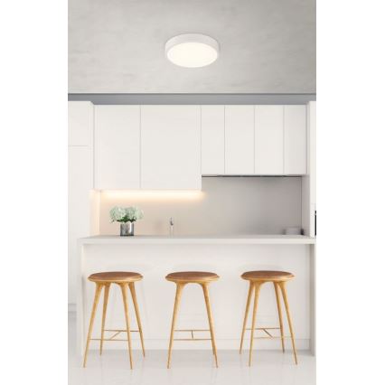 Globo - LED Himmennettävä kattovalo LED/22W/230V