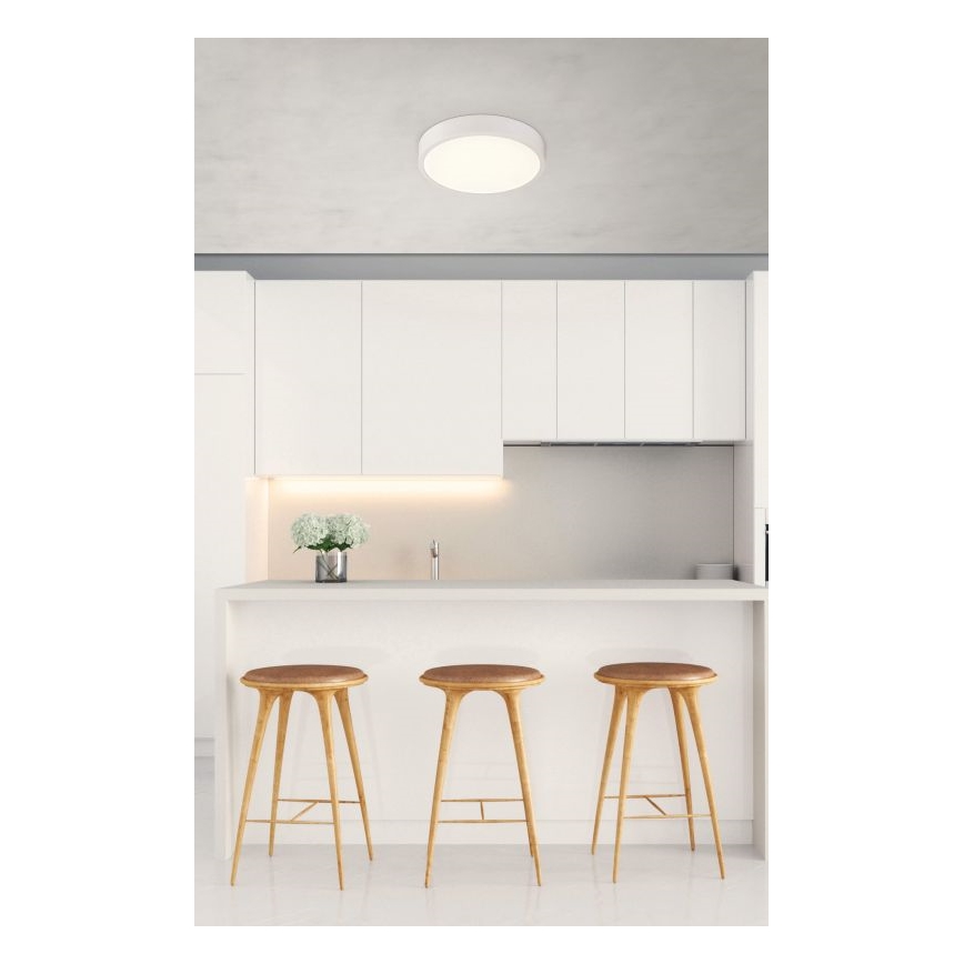 Globo - LED Himmennettävä kattovalo LED/22W/230V