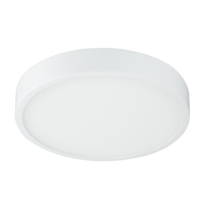 Globo - LED Himmennettävä kattovalo LED/22W/230V