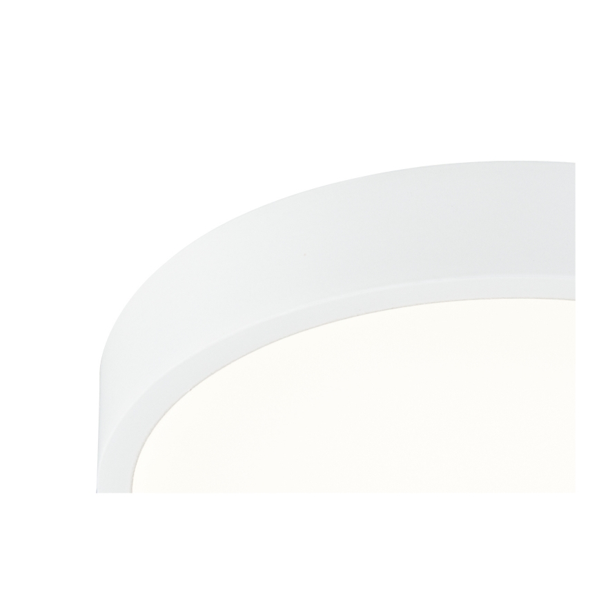 Globo - LED Himmennettävä kattovalo LED/22W/230V