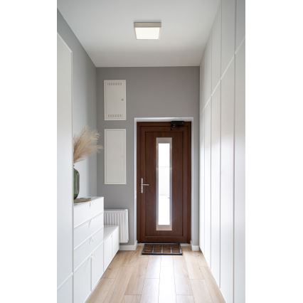 Globo - LED-kattovalaisin LED/15W/230V