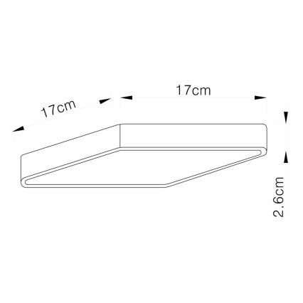 Globo - LED-kattovalaisin LED/22W/230V