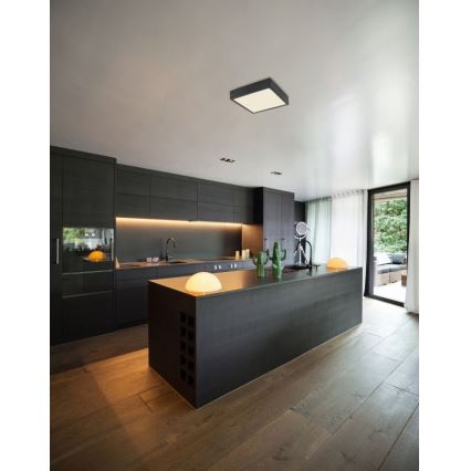 Globo - LED-kattovalaisin LED/15W/230V