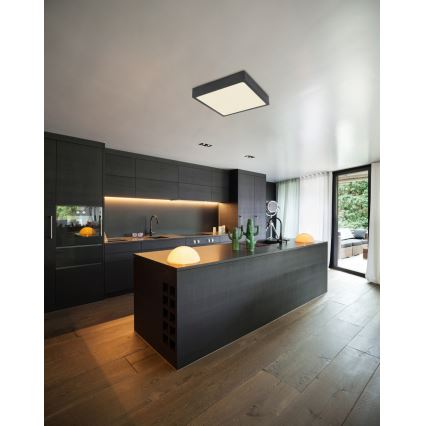 Globo - LED-kattovalaisin LED/22W/230V