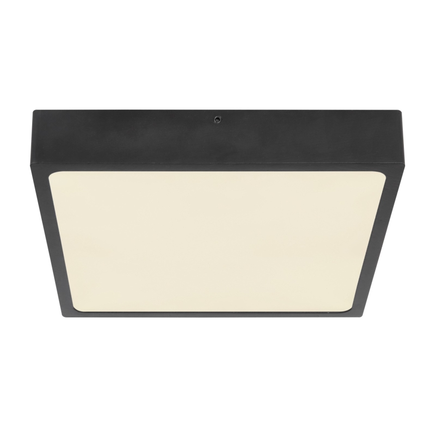 Globo - LED-kattovalaisin LED/22W/230V