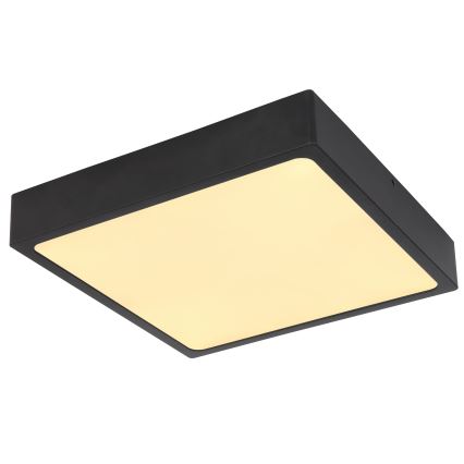 Globo - LED-kattovalaisin LED/22W/230V