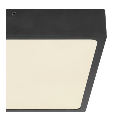 Globo - LED-kattovalaisin LED/22W/230V