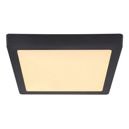 Globo - LED-kattovalaisin LED/22W/230V