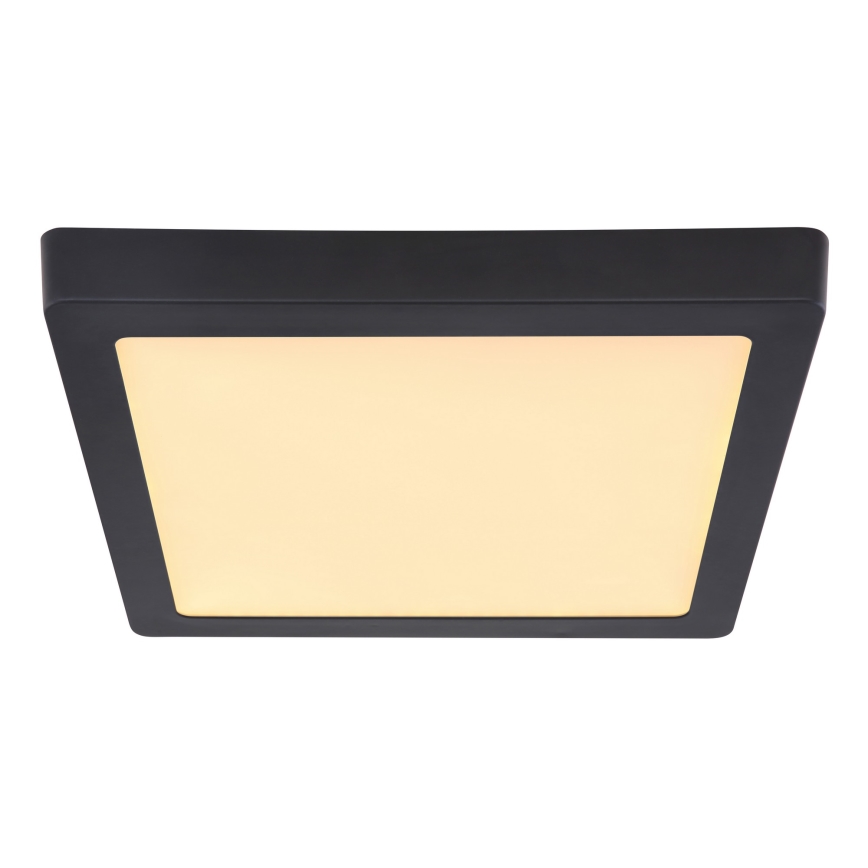 Globo - LED-kattovalaisin LED/22W/230V