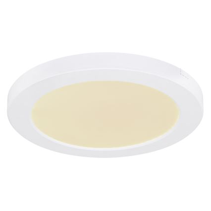 Globo - LED-kattovalaisin LED/18W/230V 3000/4000/6500K valkoinen
