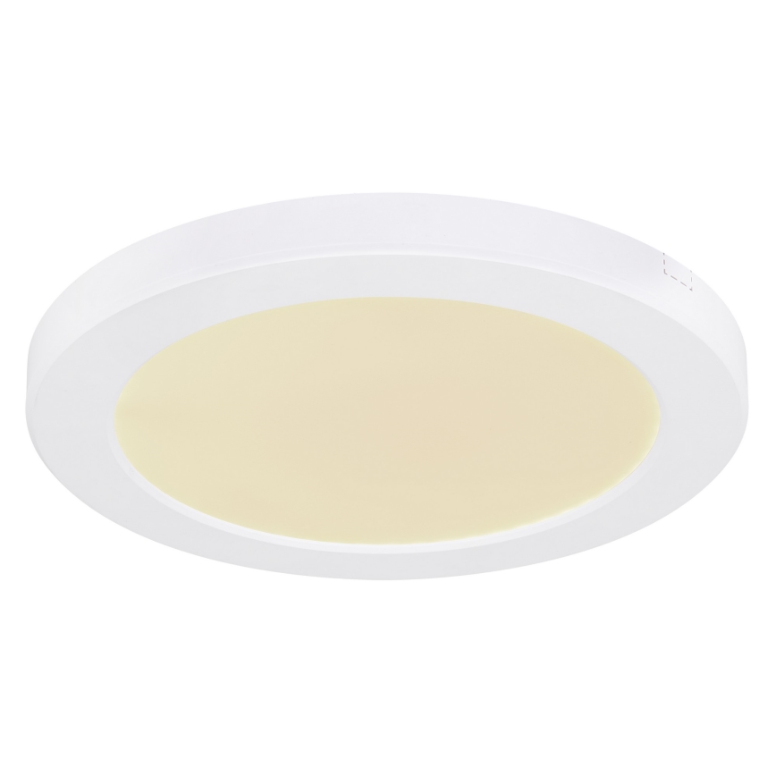 Globo - LED-kattovalaisin LED/18W/230V 3000/4000/6500K valkoinen