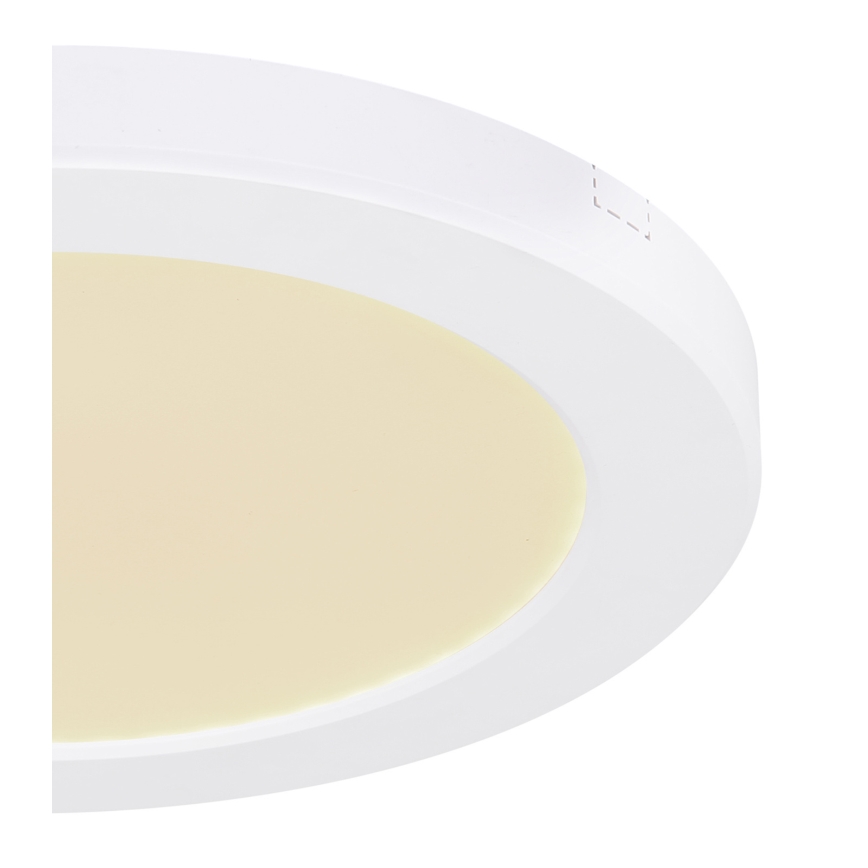 Globo - LED-kattovalaisin LED/18W/230V 3000/4000/6500K valkoinen