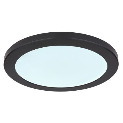 Globo - LED-kattovalaisin LED/24W/230V 3000/4000/6500K musta