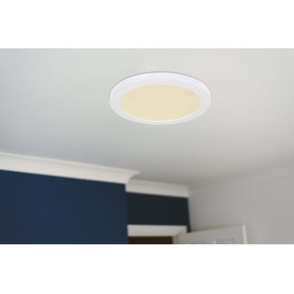 Globo - LED-kattovalaisin LED/24W/230V 3000/4000/6500K valkoinen
