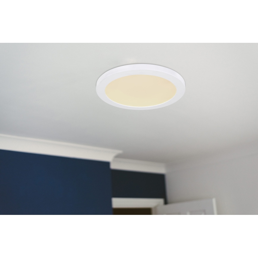 Globo - LED-kattovalaisin LED/24W/230V 3000/4000/6500K valkoinen