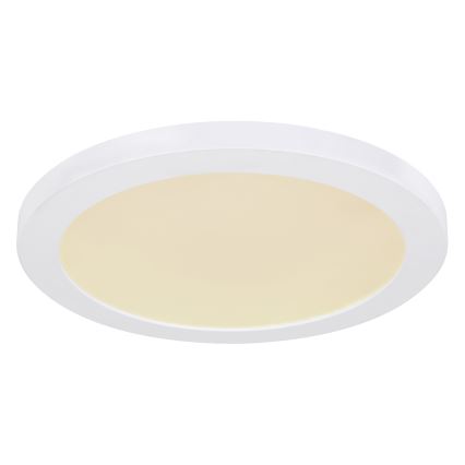 Globo - LED-kattovalaisin LED/24W/230V 3000/4000/6500K valkoinen