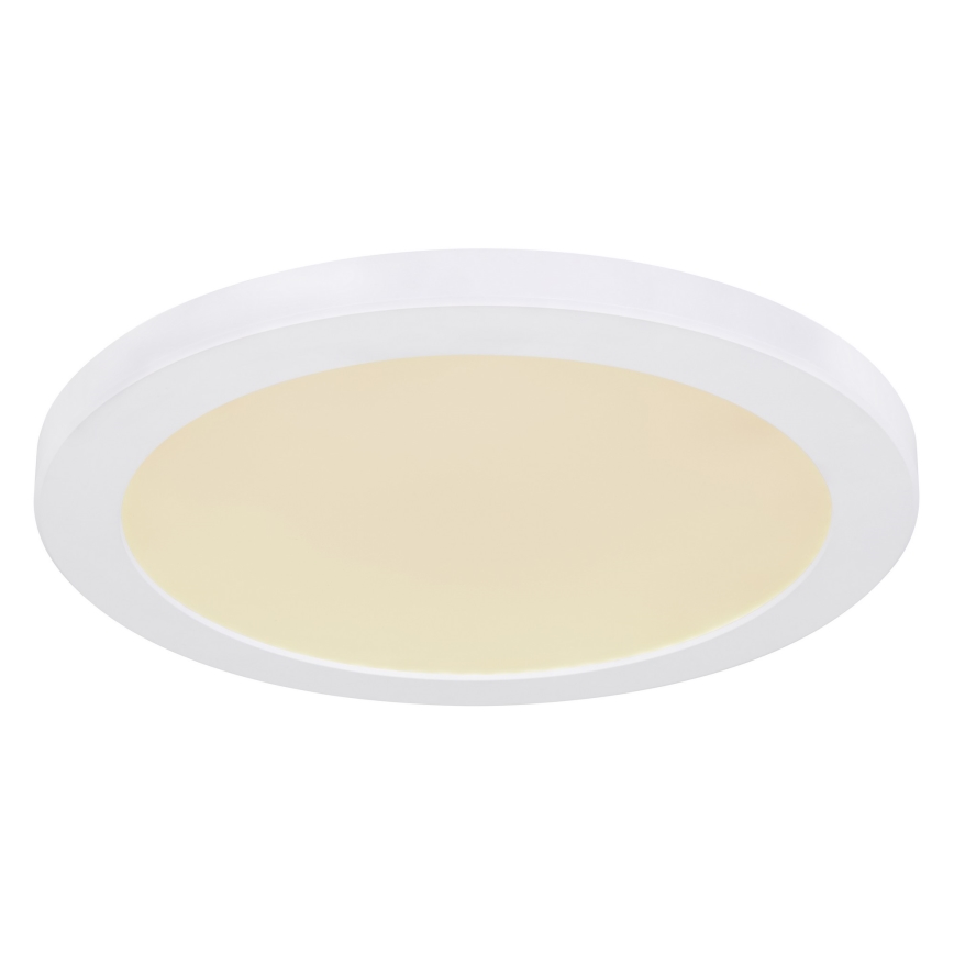 Globo - LED-kattovalaisin LED/24W/230V 3000/4000/6500K valkoinen