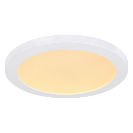 Globo - LED-kattovalaisin LED/24W/230V 3000/4000/6500K valkoinen