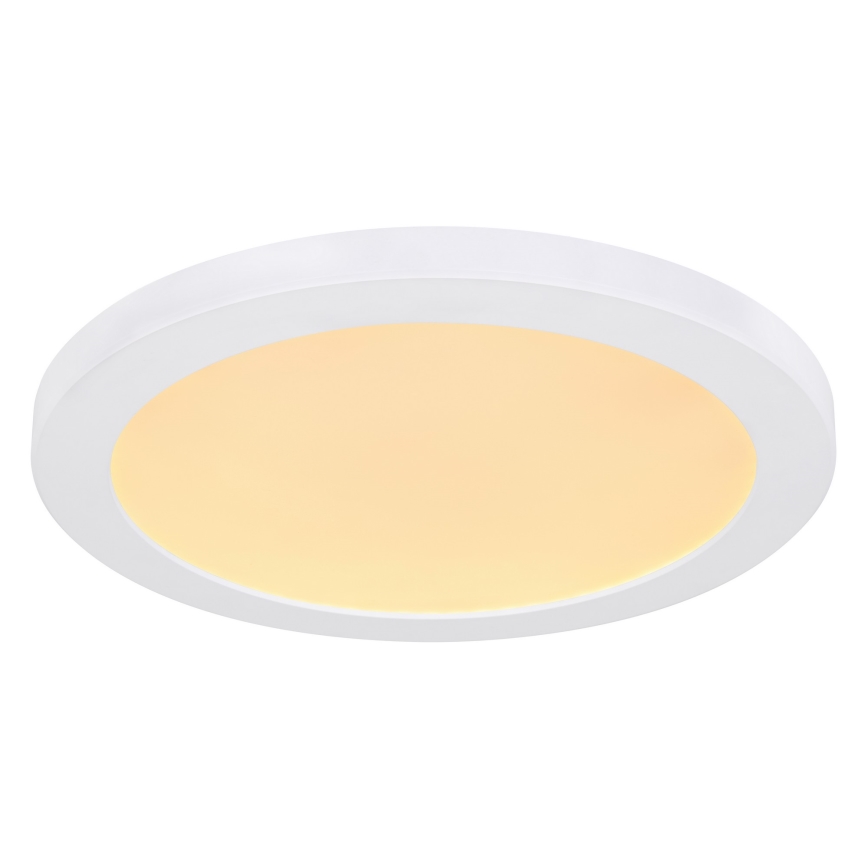 Globo - LED-kattovalaisin LED/24W/230V 3000/4000/6500K valkoinen