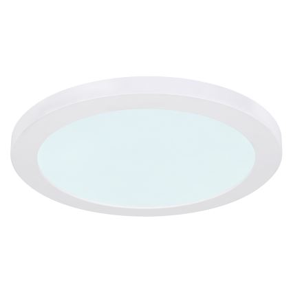 Globo - LED-kattovalaisin LED/24W/230V 3000/4000/6500K valkoinen