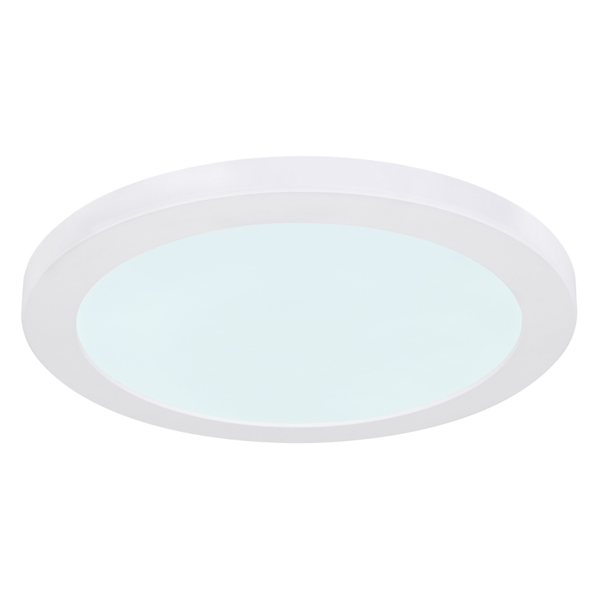 Globo - LED-kattovalaisin LED/24W/230V 3000/4000/6500K valkoinen