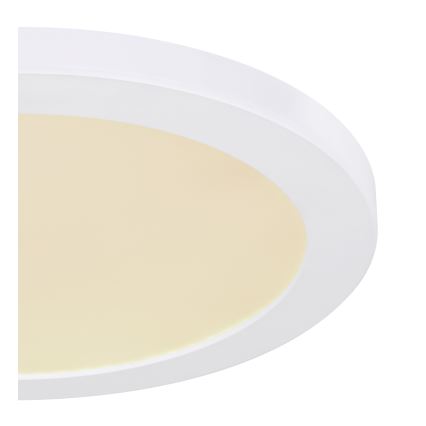 Globo - LED-kattovalaisin LED/24W/230V 3000/4000/6500K valkoinen