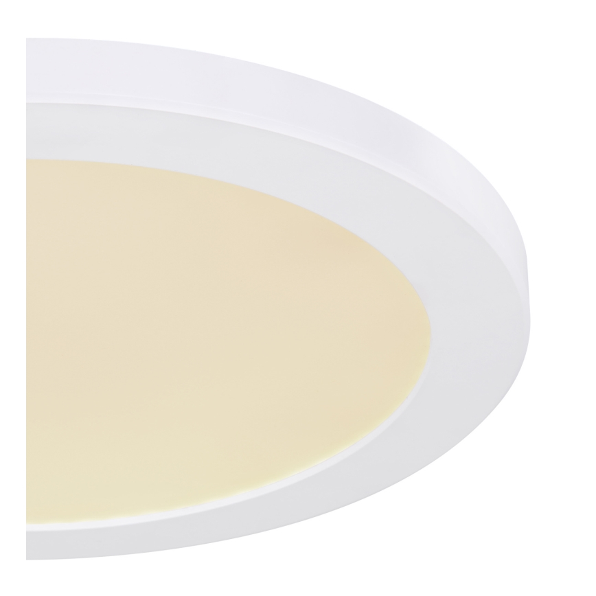 Globo - LED-kattovalaisin LED/24W/230V 3000/4000/6500K valkoinen