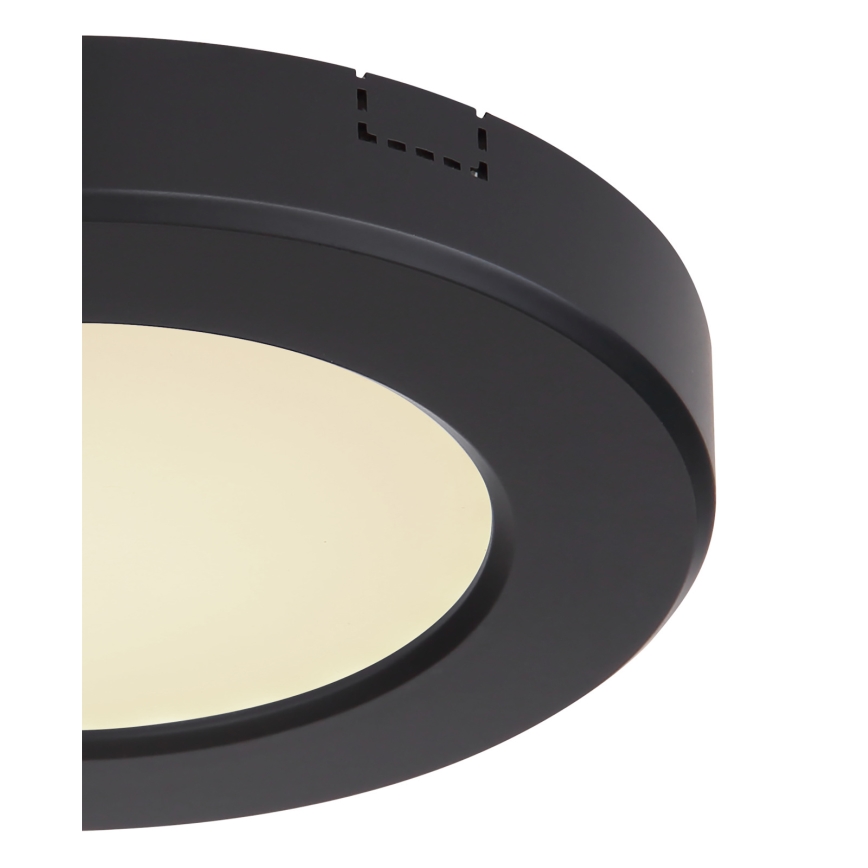Globo - LED-kattovalaisin LED/6W/230V 3000/4000/6500K musta