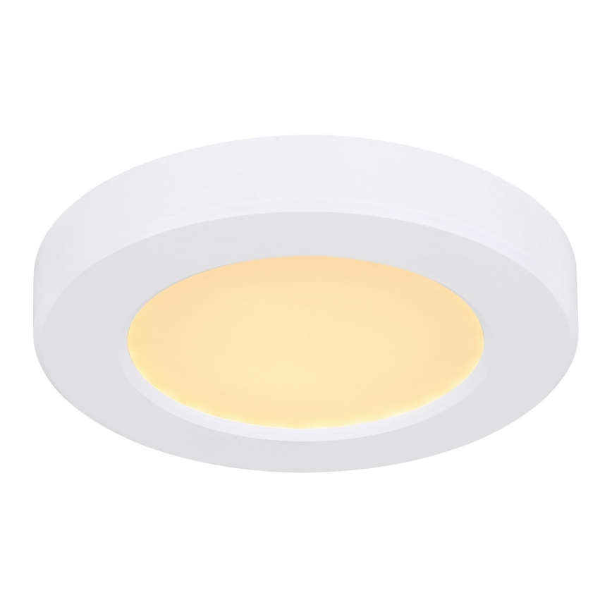 Globo - LED-kattovalaisin LED/6W/230V 3000/4000/6500K valkoinen